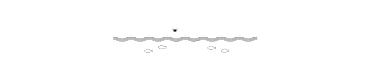 -志布志市観光特産品協会-Online Shop
